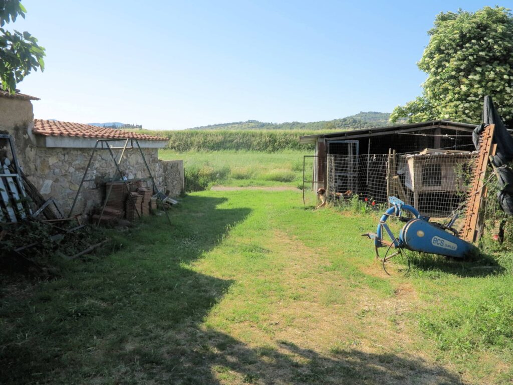 1041-Piccola azienda agricola-Gavorrano-11 Agenzia Immobiliare ASIP