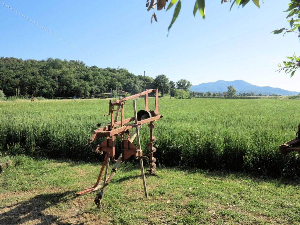 1041-Piccola azienda agricola-Gavorrano-12 Agenzia Immobiliare ASIP