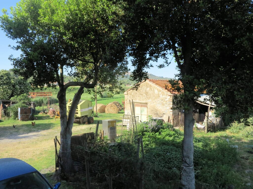 1041-Piccola azienda agricola-Gavorrano-4 Agenzia Immobiliare ASIP