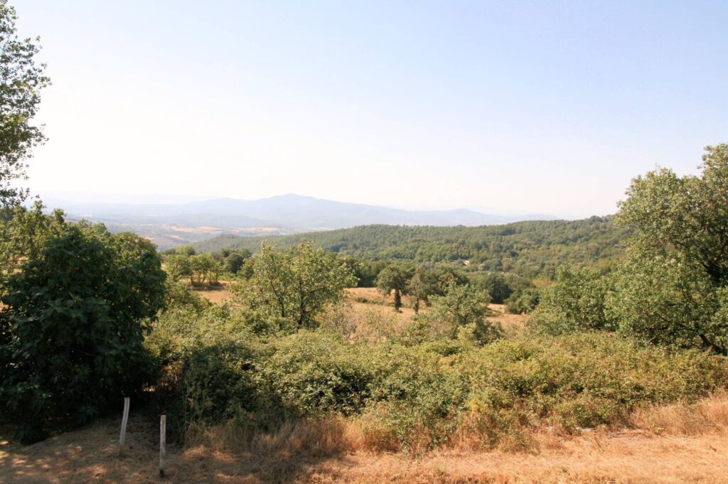 1070-Rustico in stile Toscano con giardino e vista panoramica-Roccastrada-3 Agenzia Immobiliare ASIP