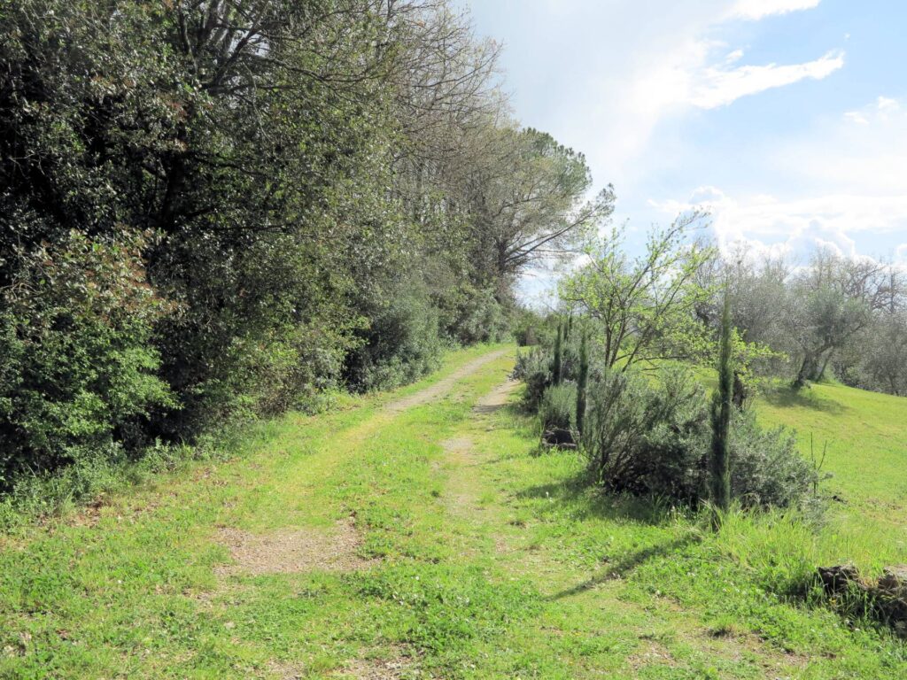 1417-Bel casale ristrutturato in posizione panoramica con ampio terreno-Civitella Paganico-5 Agenzia Immobiliare ASIP