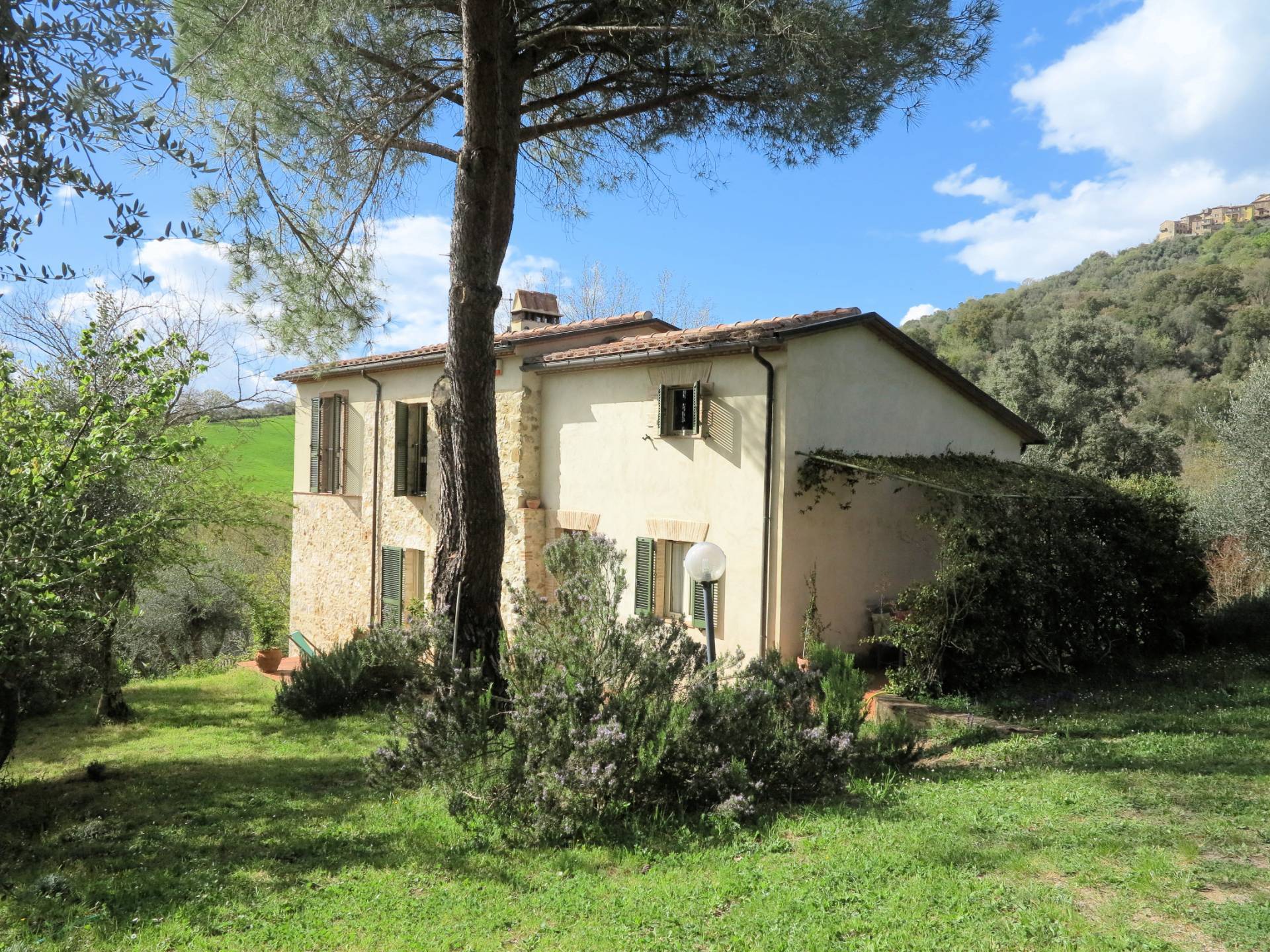 1417-Bel casale ristrutturato in posizione panoramica con ampio terreno-Civitella Paganico-1 Agenzia Immobiliare ASIP