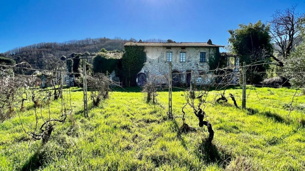 992-Villa in posizione esclusiva da ristrutturare-Lucca-6 Agenzia Immobiliare ASIP