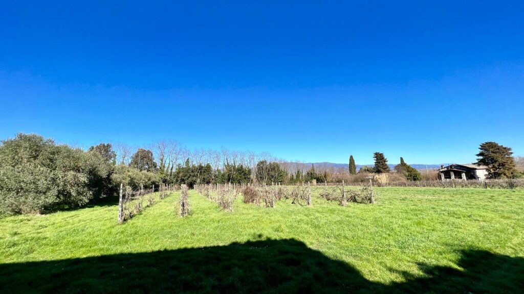 992-Villa in posizione esclusiva da ristrutturare-Lucca-13 Agenzia Immobiliare ASIP