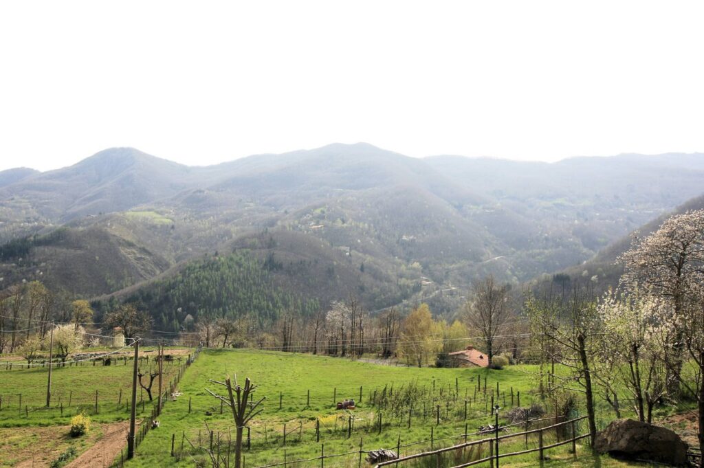 1513-Villa unifamiliare con giardino in posizione panoramica-Abetone Cutigliano-7 Agenzia Immobiliare ASIP