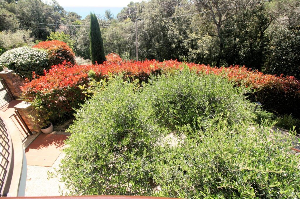 1515-Villetta libera su quattro lati con giardino e vista mare-Livorno-9 Agenzia Immobiliare ASIP