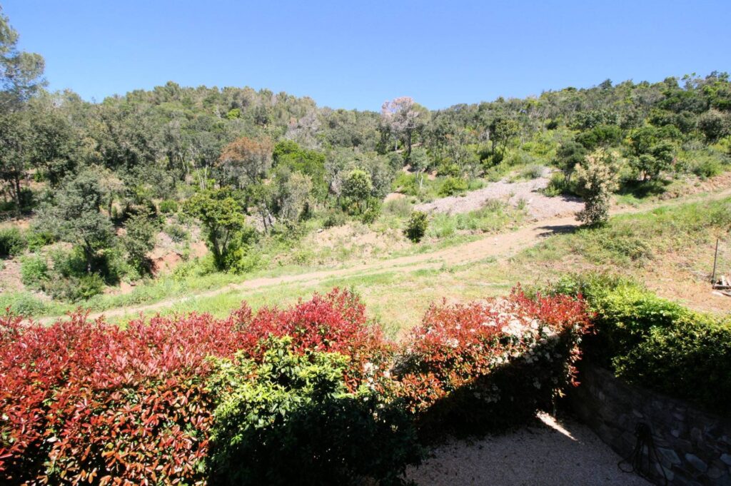 1515-Villetta libera su quattro lati con giardino e vista mare-Livorno-26 Agenzia Immobiliare ASIP