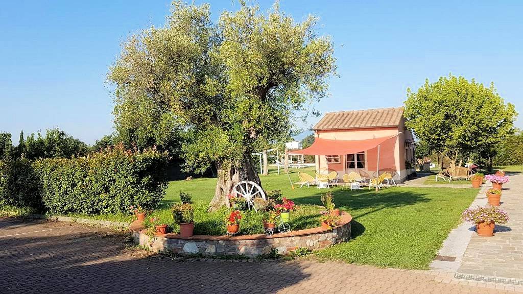 1519-Casale ristrutturato con parco e piscina-Altopascio-6 Agenzia Immobiliare ASIP