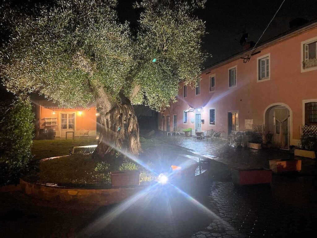 1519-Casale ristrutturato con parco e piscina-Altopascio-14 Agenzia Immobiliare ASIP