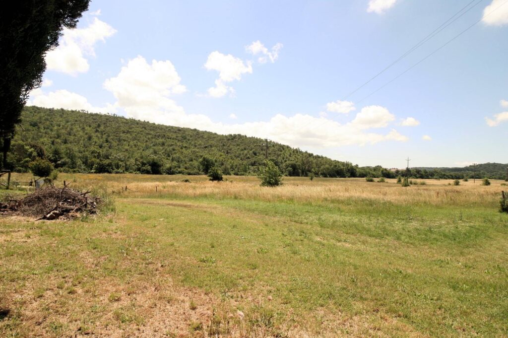 1522-Casale in stile rustico Toscano con annessi e terreno a venti minuti dal mare-Monteverdi Marittimo-15 Agenzia Immobiliare ASIP