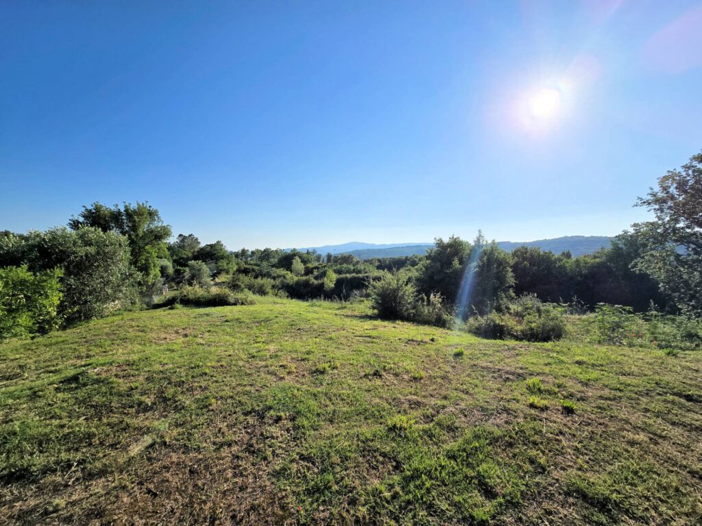1524-Casale in stile rustico Toscano in posizione panoramica con annesso e 54 ettari di terreno-Monterotondo Marittimo-6 Agenzia Immobiliare ASIP