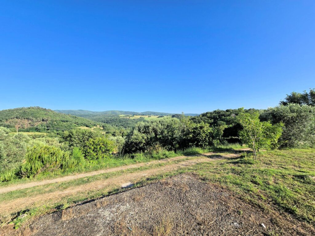 1524-Casale in stile rustico Toscano in posizione panoramica con annesso e 54 ettari di terreno-Monterotondo Marittimo-4 Agenzia Immobiliare ASIP
