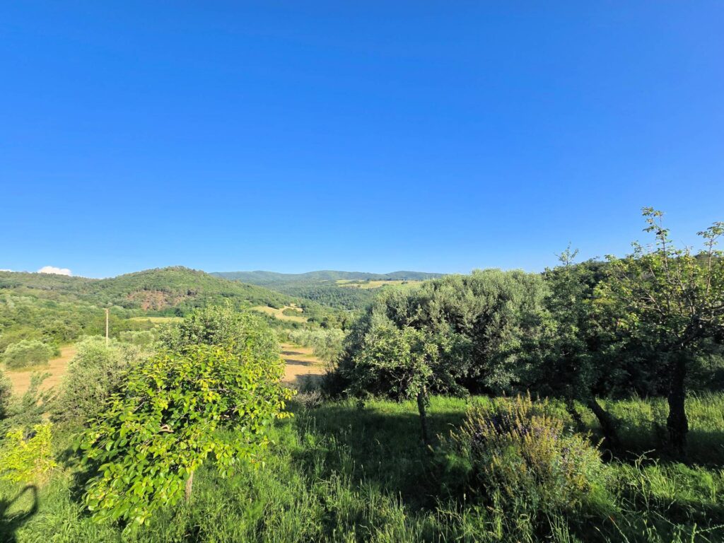1524-Casale in stile rustico Toscano in posizione panoramica con annesso e 54 ettari di terreno-Monterotondo Marittimo-9 Agenzia Immobiliare ASIP