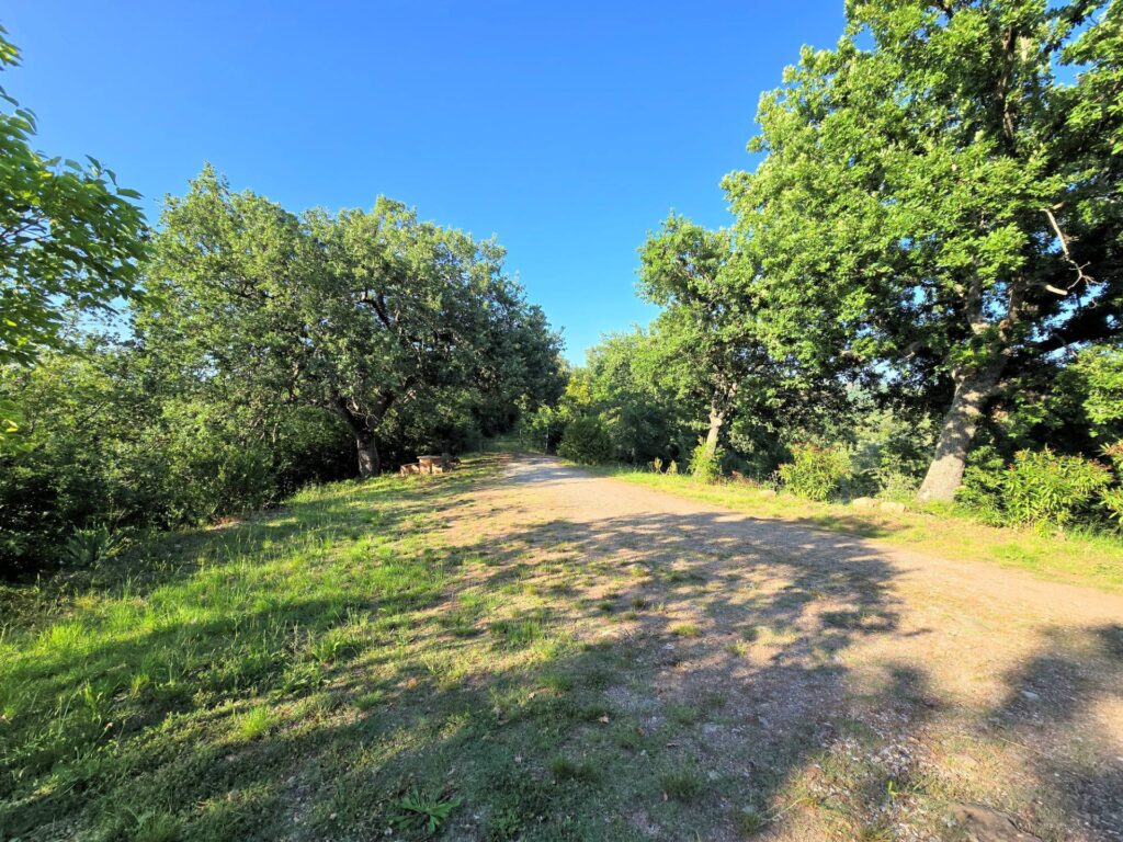 1524-Casale in stile rustico Toscano in posizione panoramica con annesso e 54 ettari di terreno-Monterotondo Marittimo-11 Agenzia Immobiliare ASIP