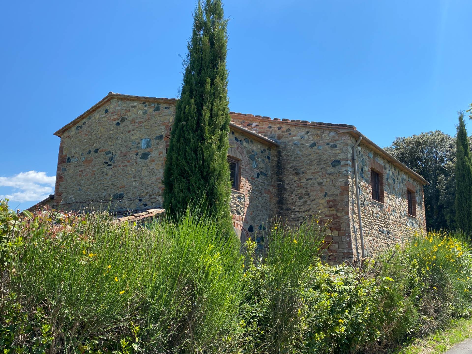 1531-Casa colonica di ampia superficie in posizione dominante con vista panoramica-Pomarance-1 Agenzia Immobiliare ASIP