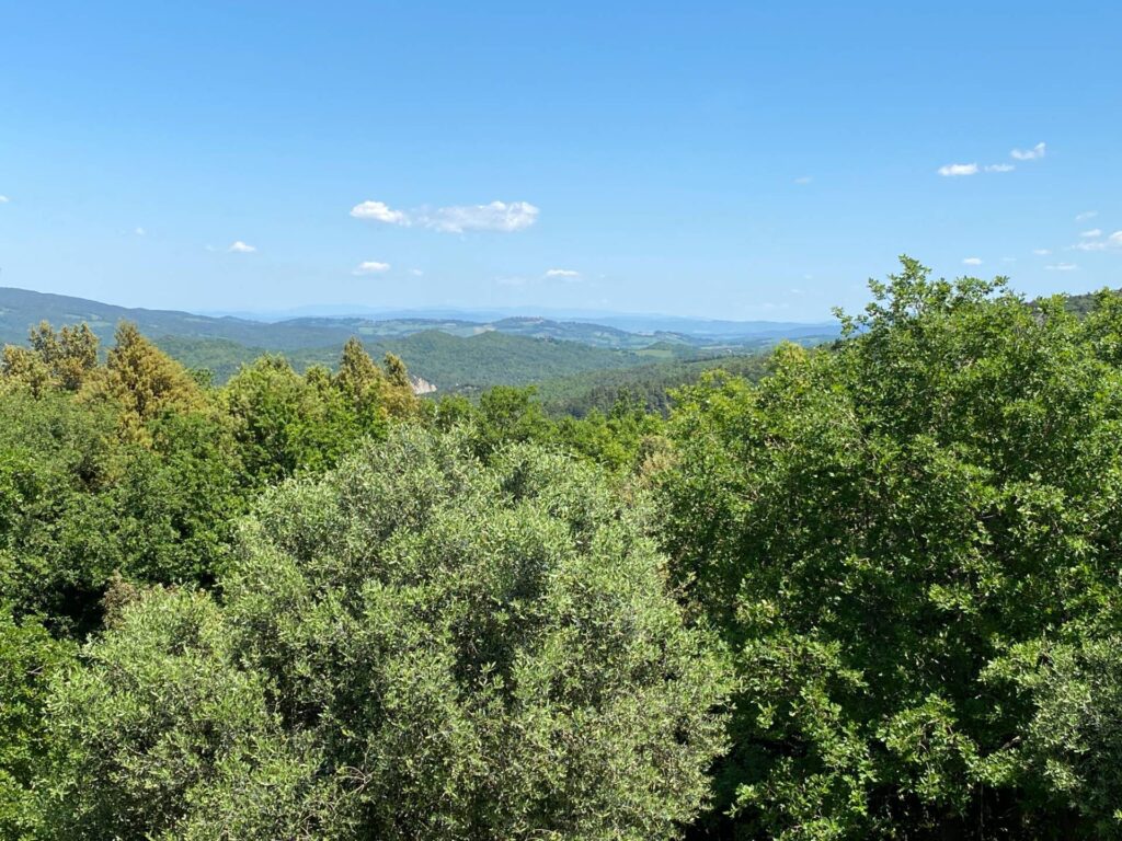 1531-Casa colonica di ampia superficie in posizione dominante con vista panoramica-Pomarance-4 Agenzia Immobiliare ASIP