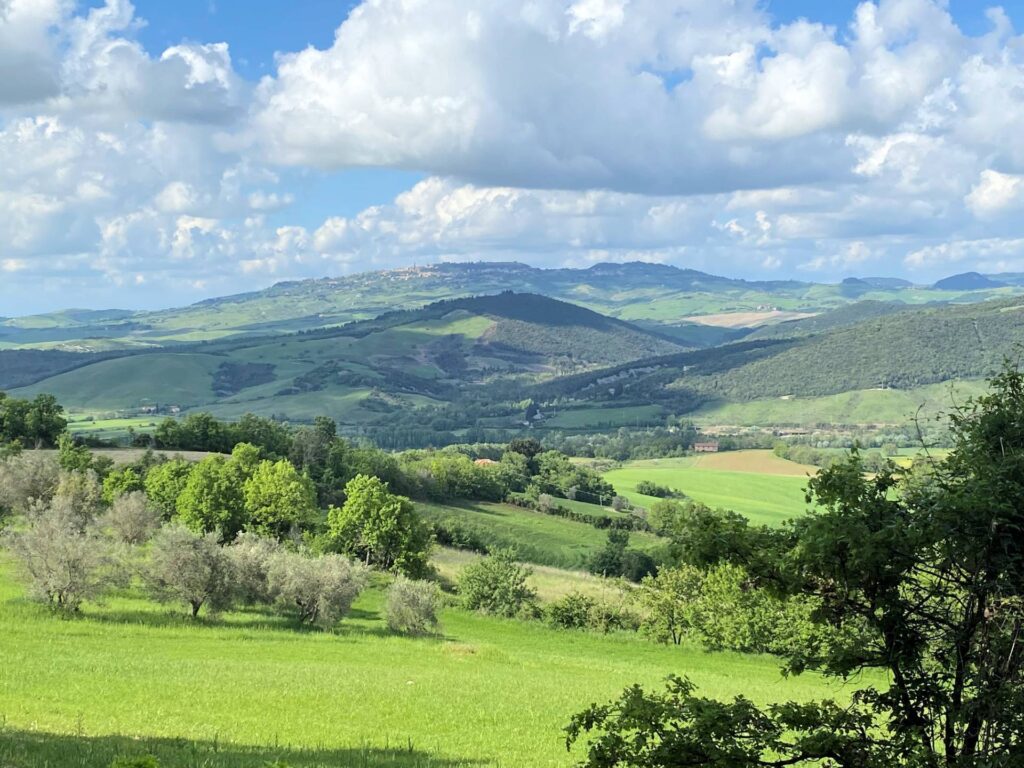 1532-Casa colonica di ampia superficie in posizione panoramica-Castelnuovo di Val di Cecina-2 Agenzia Immobiliare ASIP