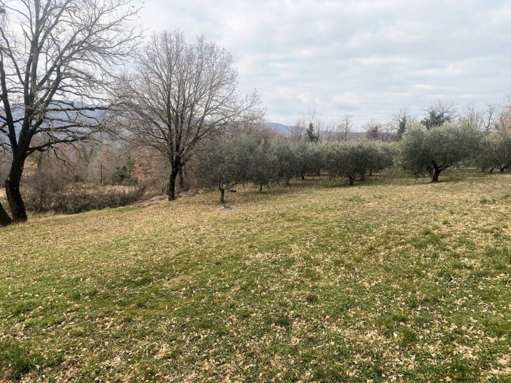 1532-Casa colonica di ampia superficie in posizione panoramica-Castelnuovo di Val di Cecina-9 Agenzia Immobiliare ASIP