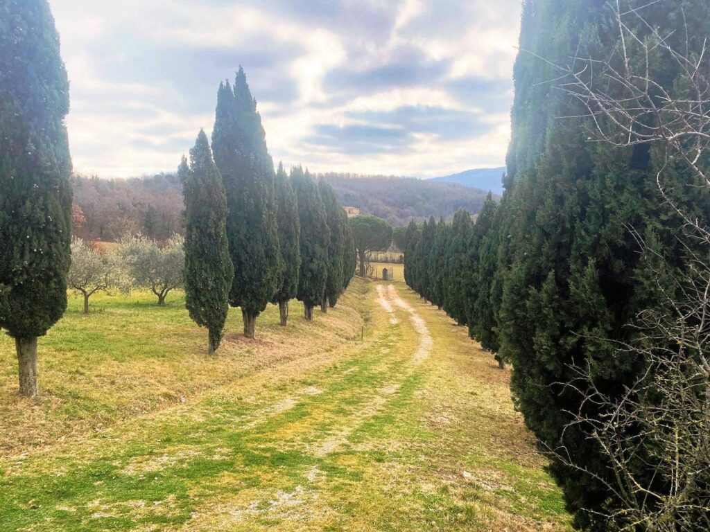 1532-Casa colonica di ampia superficie in posizione panoramica-Castelnuovo di Val di Cecina-11 Agenzia Immobiliare ASIP