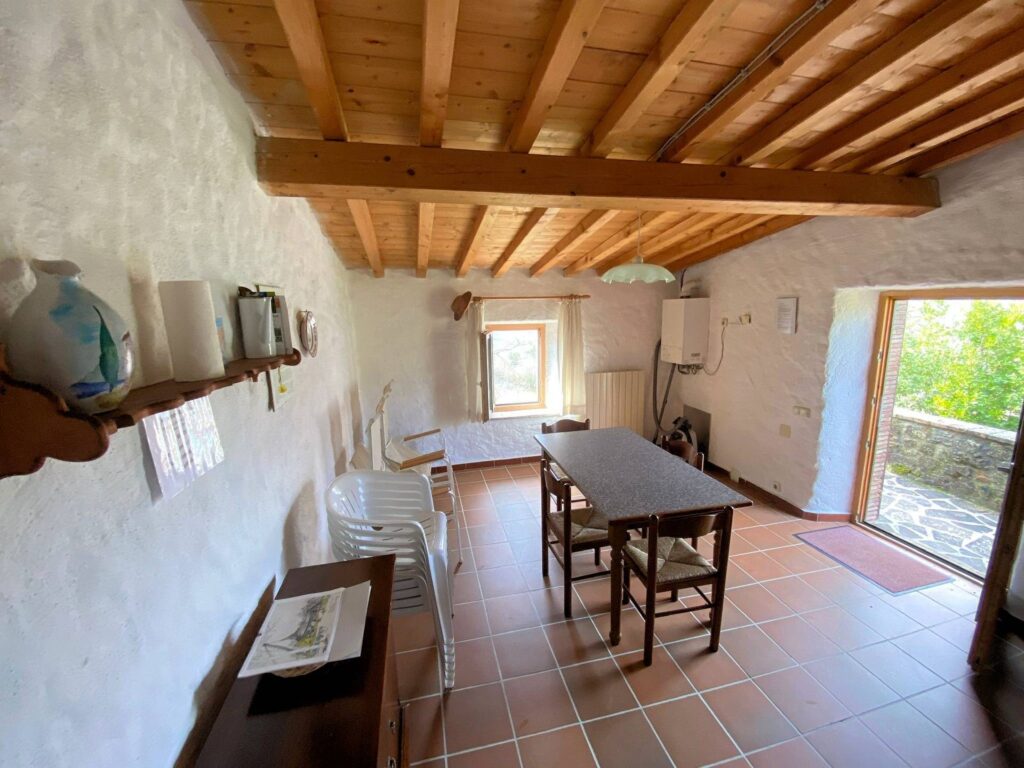 1532-Casa colonica di ampia superficie in posizione panoramica-Castelnuovo di Val di Cecina-22 Agenzia Immobiliare ASIP