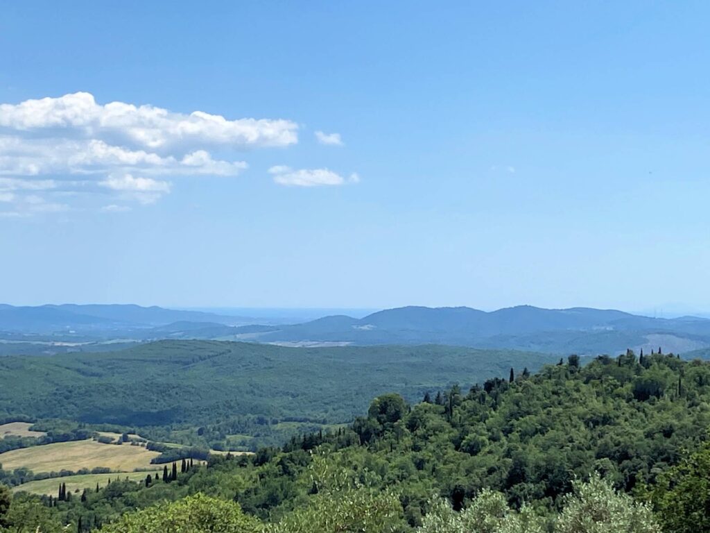 1533-Porzione terratetto di villa bifamiliare in stile rustico Toscano-Castelnuovo di Val di Cecina-2 Agenzia Immobiliare ASIP