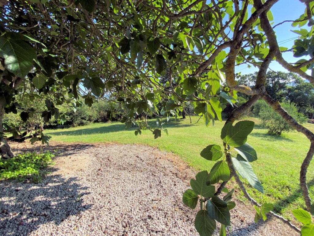 1533-Porzione terratetto di villa bifamiliare in stile rustico Toscano-Castelnuovo di Val di Cecina-9 Agenzia Immobiliare ASIP