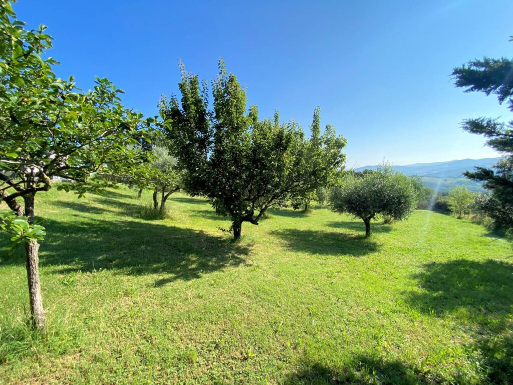1533-Porzione terratetto di villa bifamiliare in stile rustico Toscano-Castelnuovo di Val di Cecina-7 Agenzia Immobiliare ASIP