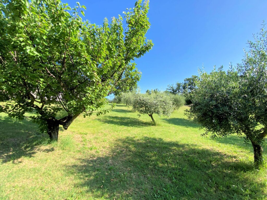 1533-Porzione terratetto di villa bifamiliare in stile rustico Toscano-Castelnuovo di Val di Cecina-13 Agenzia Immobiliare ASIP