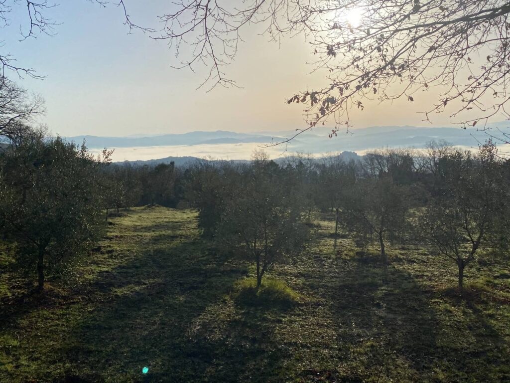 1534-Porzione di casale in stile rustico Toscano ristrutturato  con terreno in ottima posizione-Castelnuovo di Val di Cecina-3 Agenzia Immobiliare ASIP