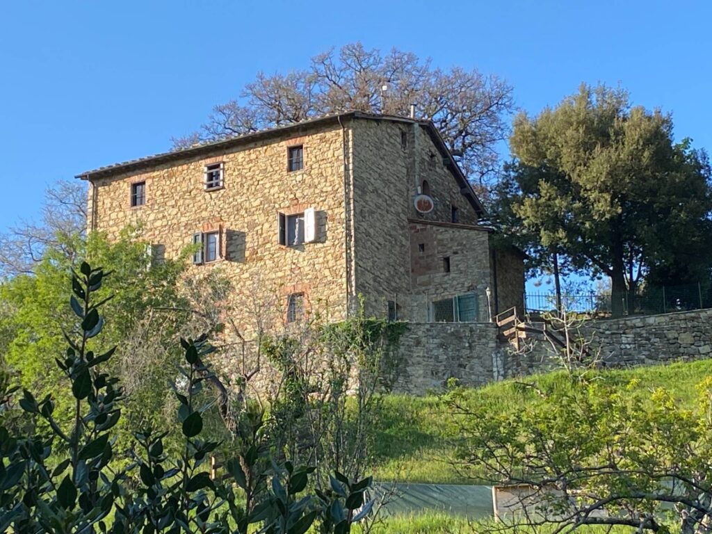 1534-Porzione di casale in stile rustico Toscano ristrutturato  con terreno in ottima posizione-Castelnuovo di Val di Cecina-8 Agenzia Immobiliare ASIP