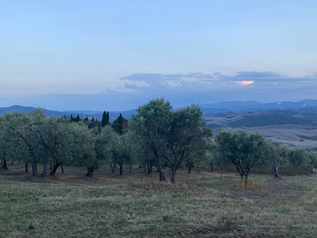 1534-Porzione di casale in stile rustico Toscano ristrutturato  con terreno in ottima posizione-Castelnuovo di Val di Cecina-7 Agenzia Immobiliare ASIP
