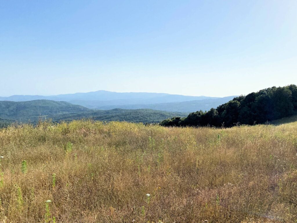 1535-Colonica in pietra da ristrutturare con vista panoramica mozzafiato-Monteverdi Marittimo-2 Agenzia Immobiliare ASIP