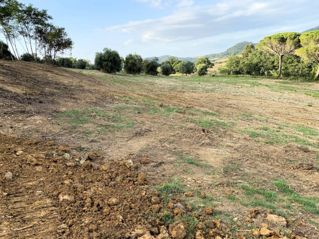 1535-Colonica in pietra da ristrutturare con vista panoramica mozzafiato-Monteverdi Marittimo-14 Agenzia Immobiliare ASIP