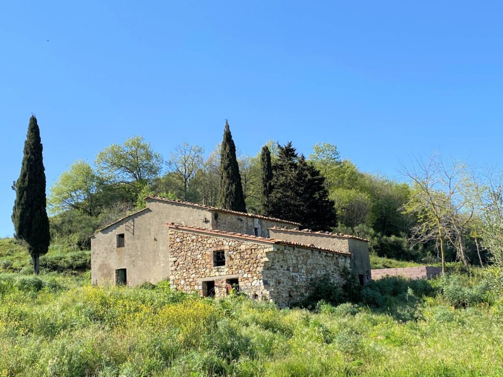 1535-Colonica in pietra da ristrutturare con vista panoramica mozzafiato-Monteverdi Marittimo-5 Agenzia Immobiliare ASIP
