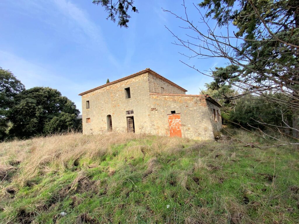 1536-Colonica da ristrutturare con ampio terreno in posizione panoramica-Lajatico-3 Agenzia Immobiliare ASIP