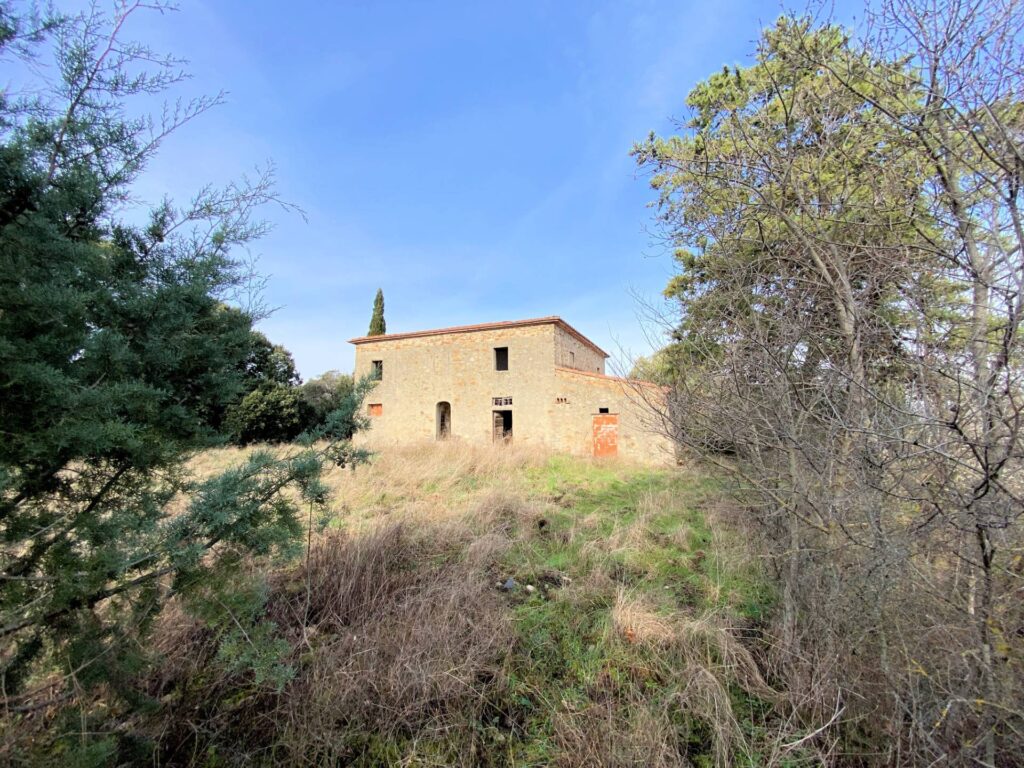 1536-Colonica da ristrutturare con ampio terreno in posizione panoramica-Lajatico-7 Agenzia Immobiliare ASIP