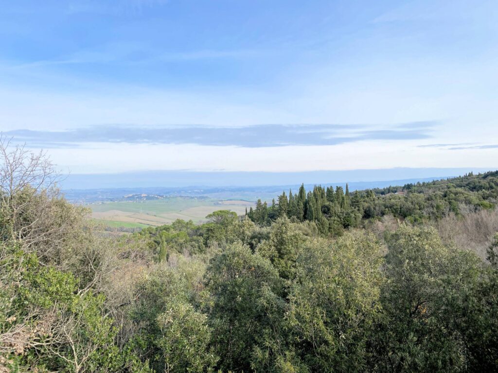 1536-Colonica da ristrutturare con ampio terreno in posizione panoramica-Lajatico-9 Agenzia Immobiliare ASIP