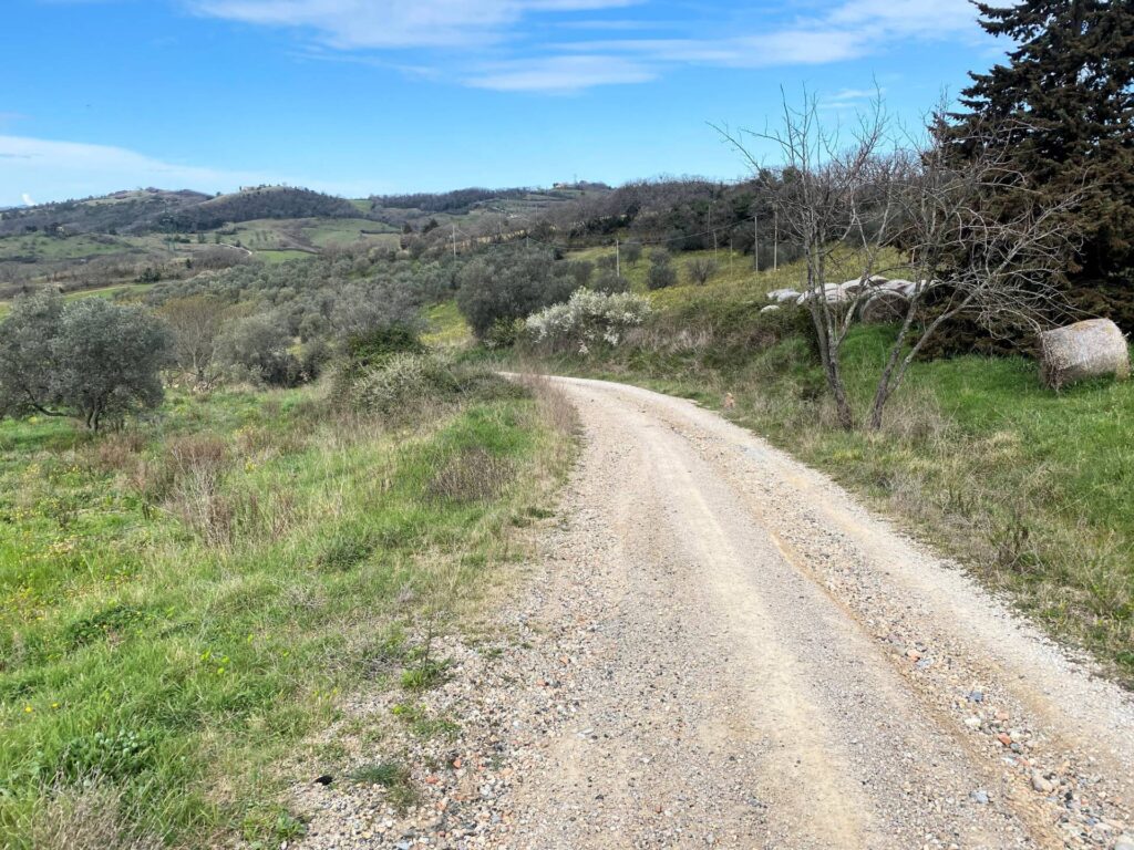 1536-Colonica da ristrutturare con ampio terreno in posizione panoramica-Lajatico-10 Agenzia Immobiliare ASIP