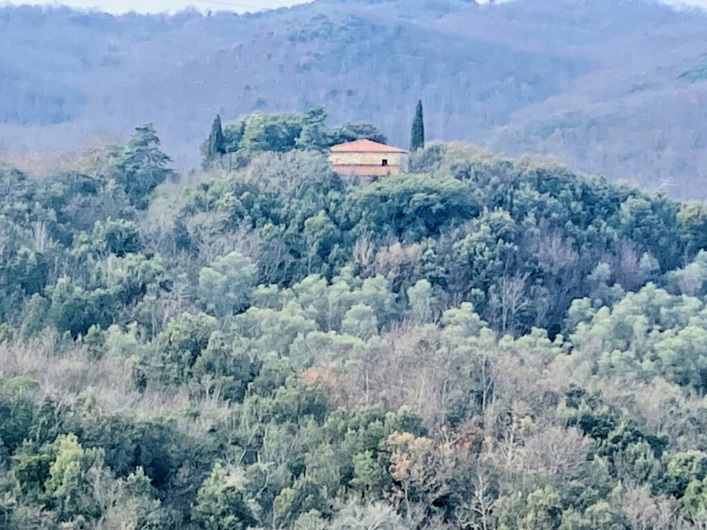 1536-Colonica da ristrutturare con ampio terreno in posizione panoramica-Lajatico-8 Agenzia Immobiliare ASIP