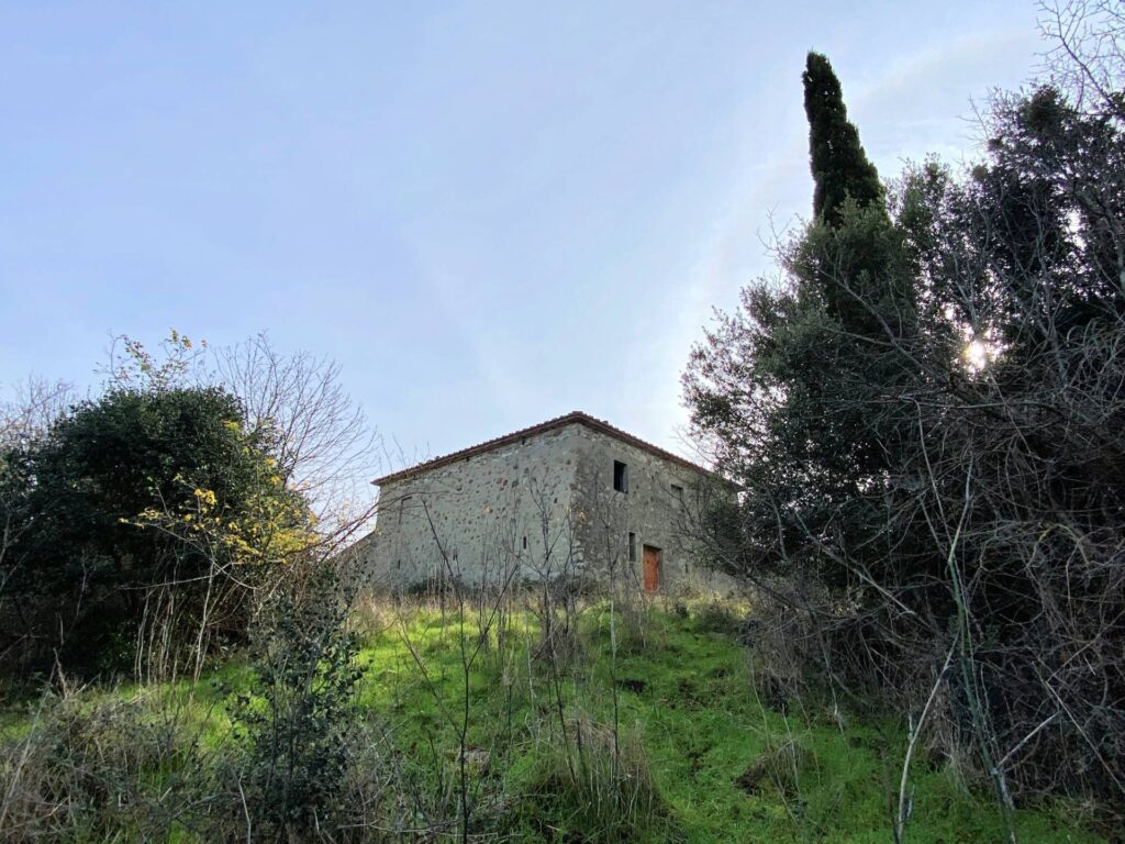 1536-Colonica da ristrutturare con ampio terreno in posizione panoramica-Lajatico-5 Agenzia Immobiliare ASIP