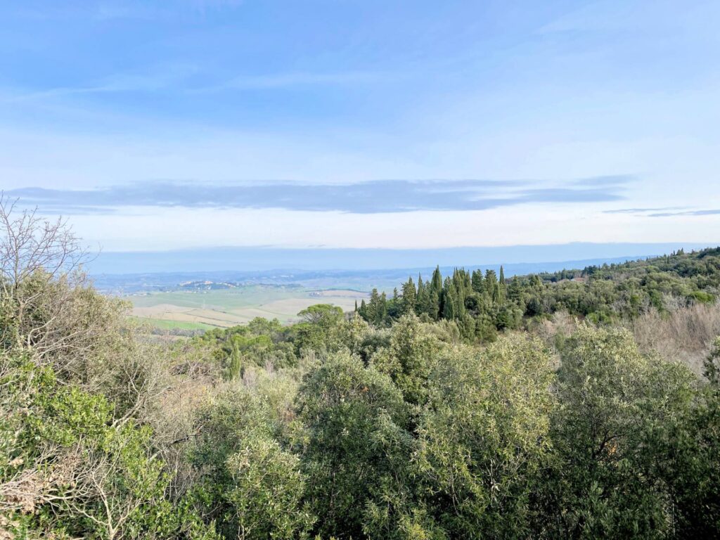 1536-Colonica da ristrutturare con ampio terreno in posizione panoramica-Lajatico-2 Agenzia Immobiliare ASIP