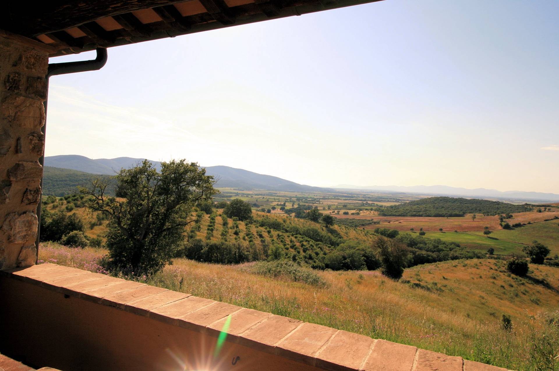 1537-Casale libero su quattro lati con terreno e vista panoramica fino al mare-Magliano in Toscana-1 Agenzia Immobiliare ASIP