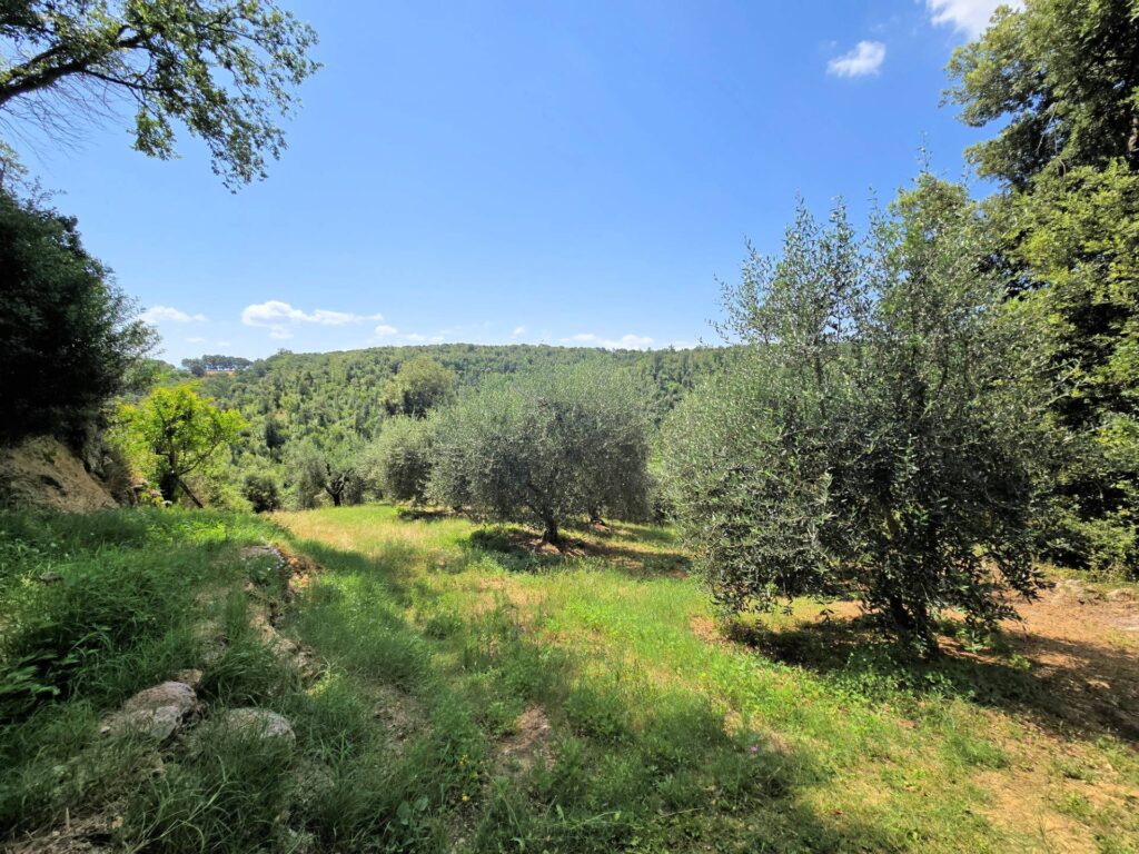 1539-Antico fienile completamente ristrutturato con giardino e annessi  posto in un piccolo borgo-Colle di Val d'Elsa-14 Agenzia Immobiliare ASIP