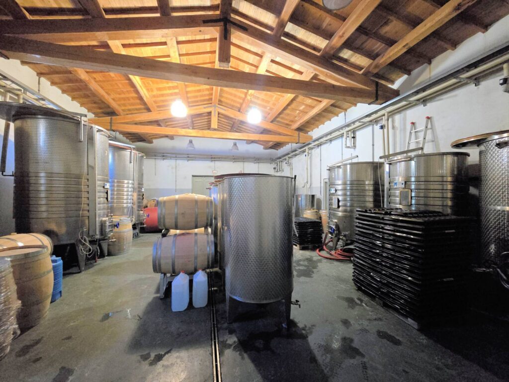 1541-Azienda vitivinicola con produzione di vini di alta qualita' in posizione collinare con vista panoramica-Scansano-12 Agenzia Immobiliare ASIP