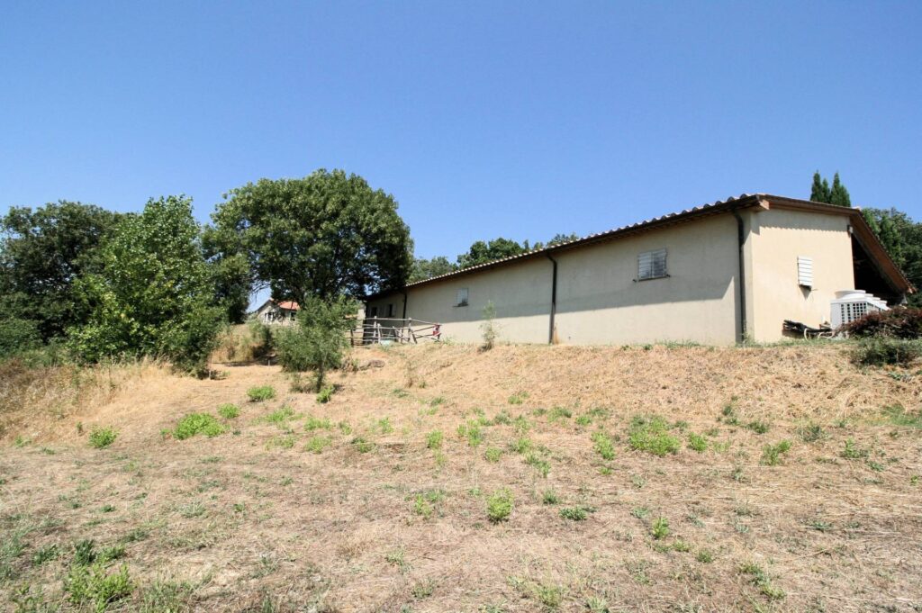 1541-Azienda vitivinicola con produzione di vini di alta qualita' in posizione collinare con vista panoramica-Scansano-21 Agenzia Immobiliare ASIP