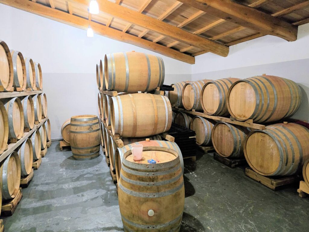 1541-Azienda vitivinicola con produzione di vini di alta qualita' in posizione collinare con vista panoramica-Scansano-3 Agenzia Immobiliare ASIP
