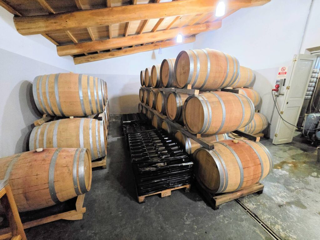 1541-Azienda vitivinicola con produzione di vini di alta qualita' in posizione collinare con vista panoramica-Scansano-14 Agenzia Immobiliare ASIP