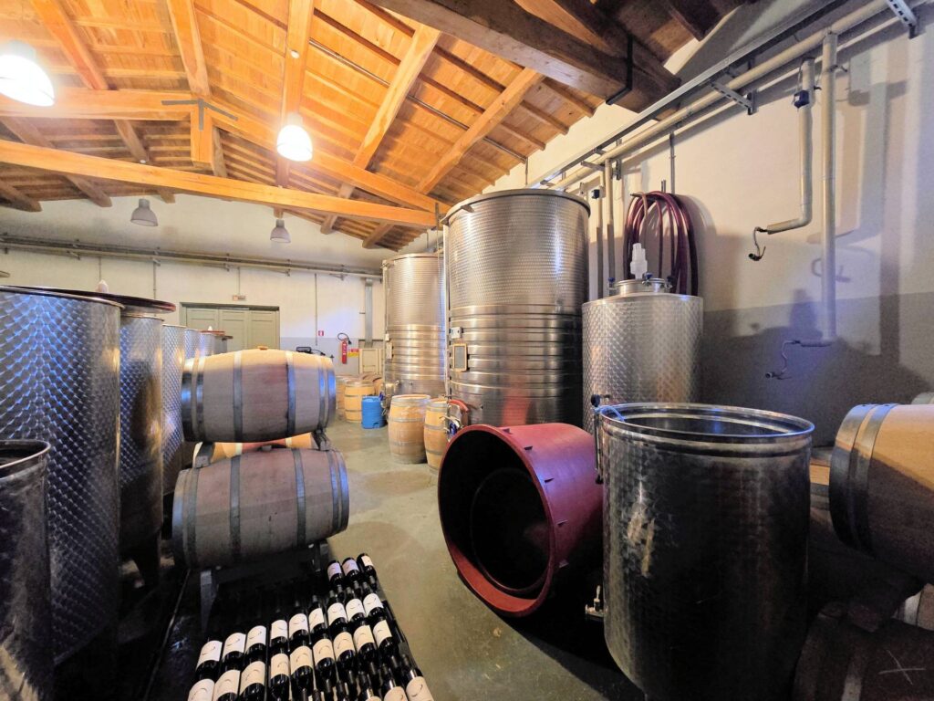 1541-Azienda vitivinicola con produzione di vini di alta qualita' in posizione collinare con vista panoramica-Scansano-8 Agenzia Immobiliare ASIP