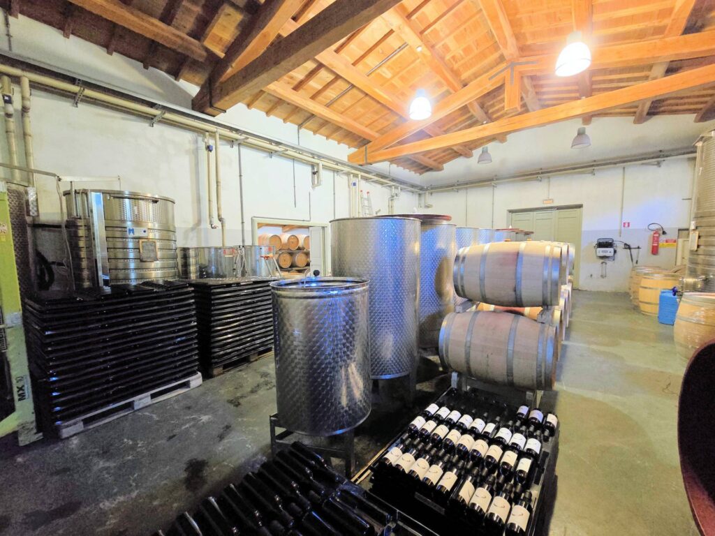 1541-Azienda vitivinicola con produzione di vini di alta qualita' in posizione collinare con vista panoramica-Scansano-16 Agenzia Immobiliare ASIP
