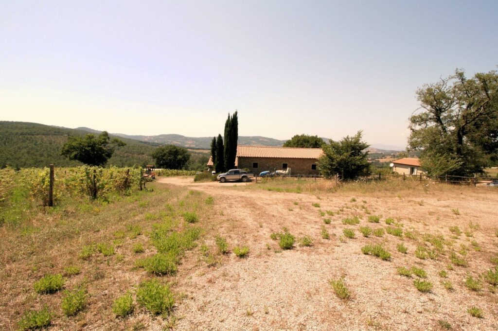 1541-Azienda vitivinicola con produzione di vini di alta qualita' in posizione collinare con vista panoramica-Scansano-19 Agenzia Immobiliare ASIP